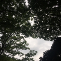 はじめまして♪