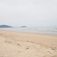 はじめまして、福岡より。