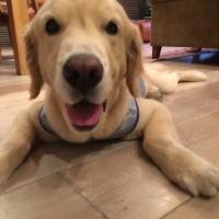 日本なのに外国！東京アメリカンクラブ