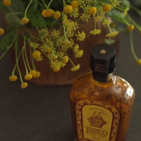 夏とスパイスと。