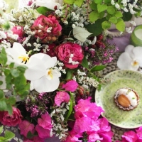 ブーゲンビリアとコチョウラン、一生忘れません!