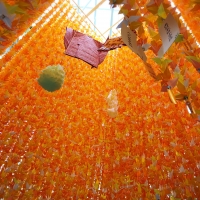 本編：七夕祭り