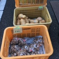 大原ふれあい朝市