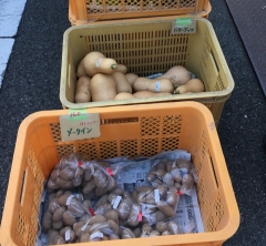 大原ふれあい朝市