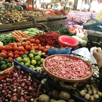 インドネシア料理教室 (パート1・市場でお買い物編)