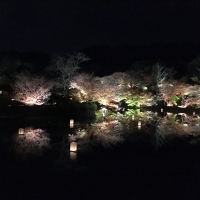 日本最大級の紅葉ライトアップ〜御船山楽園〜