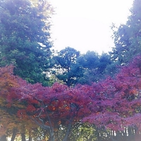 読書はおうちで、ウォーキングは書店で？