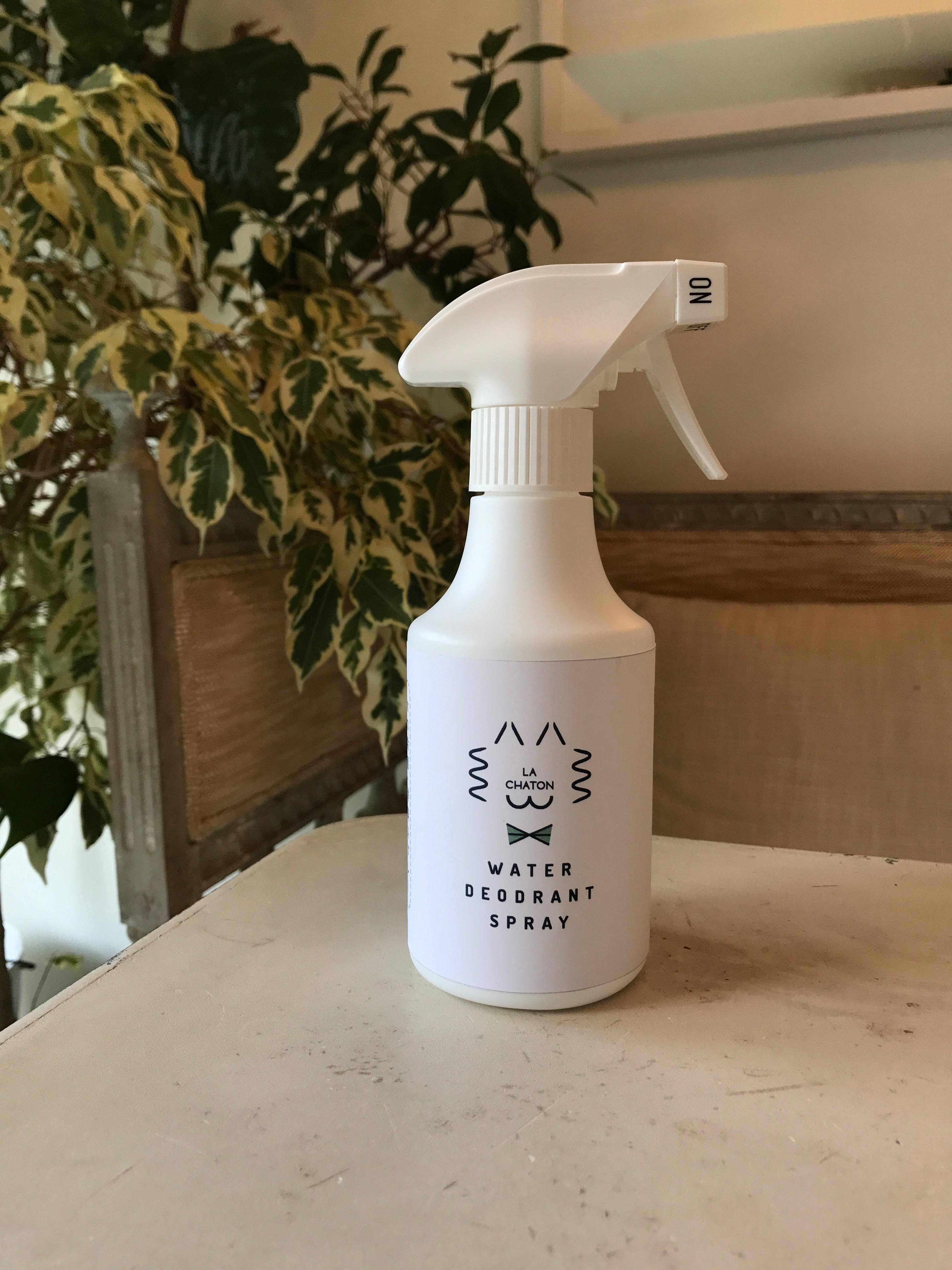 ペットに優しい100 ナチュラルな水の消臭スプレー Story ストーリィ オフィシャルサイト