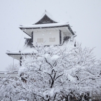 冬の金沢　一夜にして・・雪景色