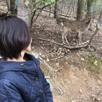 京都の遊び場~宝が池~