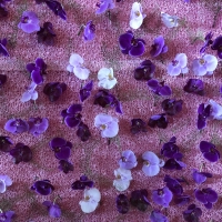 日曜日は母の日。