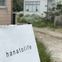 hanatolife