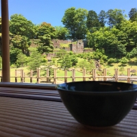 気軽にお茶体験 玉泉院丸庭園