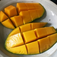 マンゴーが美味しい季節