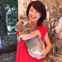 コアラと♪現地パンフに使われることに ケアンズ観光