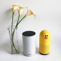 ママの自由研究~アレクサとクローバ