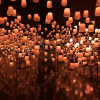 かみさまがすまう森