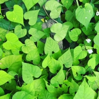 どんなときもユーモアを