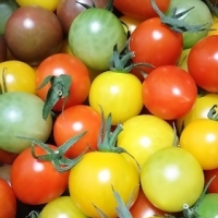 産後の肌変化…家でできる対策と2019肌目標