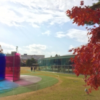 百万石の百万本展　21世紀美術館