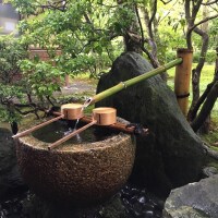 海外からのお客さまと西芳寺(苔寺)散策