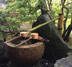 海外からのお客さまと西芳寺(苔寺)散策