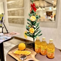 TEAs' TEA 手作り生オレンジティー体験イベントに行ってきました