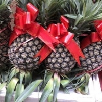 Happy Chinese New Year