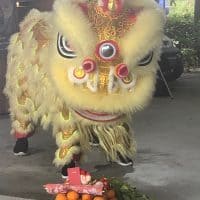 幸運を呼ぶライオンダンス