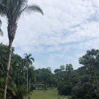 シンガポール唯一の世界遺産「シンガポール ボタニックガーデン」