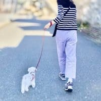 今日の【洗えるコーデ】⑦