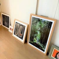 初夏に向けて身近なものを何か1つ変えてみる　♯おうち時間