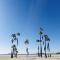 【ロングビーチ発】いくつになってもチャレンジ♪