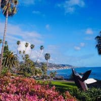 【南カリフォルニア】ヤシの木と花溢れる海沿いの街、ニューポートビーチより