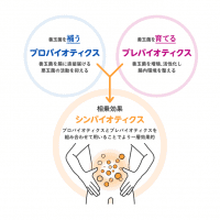 肌と大腸との深イイお話！