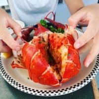 【NY】プロビンスタウンでホエールウオッチング