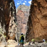 【南カリフォルニアより】ザ・ウェーブに外れて、再びの…