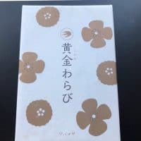 【愛知】ツバメヤ名物 わらびもち