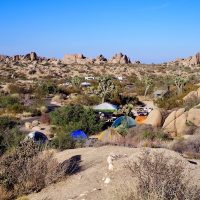 【南カリフォルニアより】大パノラマ！岩山のキャンプ場、ジョシュアツリー国立公園
