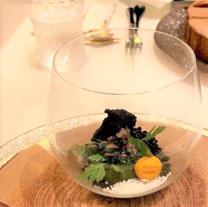 京都発 苔テラリウム に導かれる独創的フレンチ Kyo Gastronomy Kozo キョウ ガストロノミー コウゾウ Story ストーリィ オフィシャルサイト