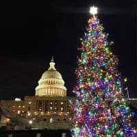 【ワシントンD.C発】HAPPY HOLIDAYS！今年も有難うございました！！