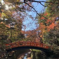 【京都】北野天満宮の紅葉狩り