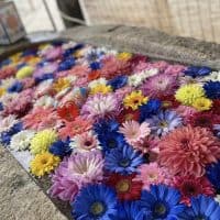 〈三重〉叶いの宮、金井神社の花手水💠