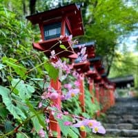 【京都発】叡山電車に乗って紅葉シーズンが楽しみになる貴船神社へ♪