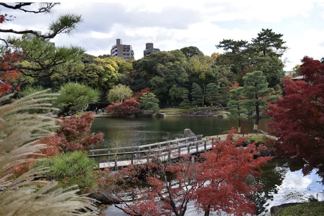 名古屋 徳川園の紅葉 Story ストーリィ オフィシャルサイト 名古屋 徳川園の紅葉 Story ストーリィ オフィシャルサイト