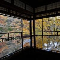 【京都】神秘的ですらある…瑠璃光院の紅葉