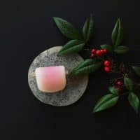 大阪〜御菓子司 鶴屋八幡の「花びら餅」