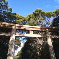 はじめまして。新デジタリスト高橋佐知です！