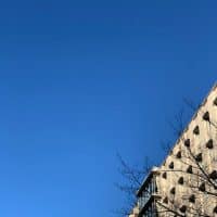 はじめまして！新デジタリスト・Akiです