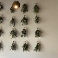 【京都】嵐山へピザを食べに【儘MAMA】